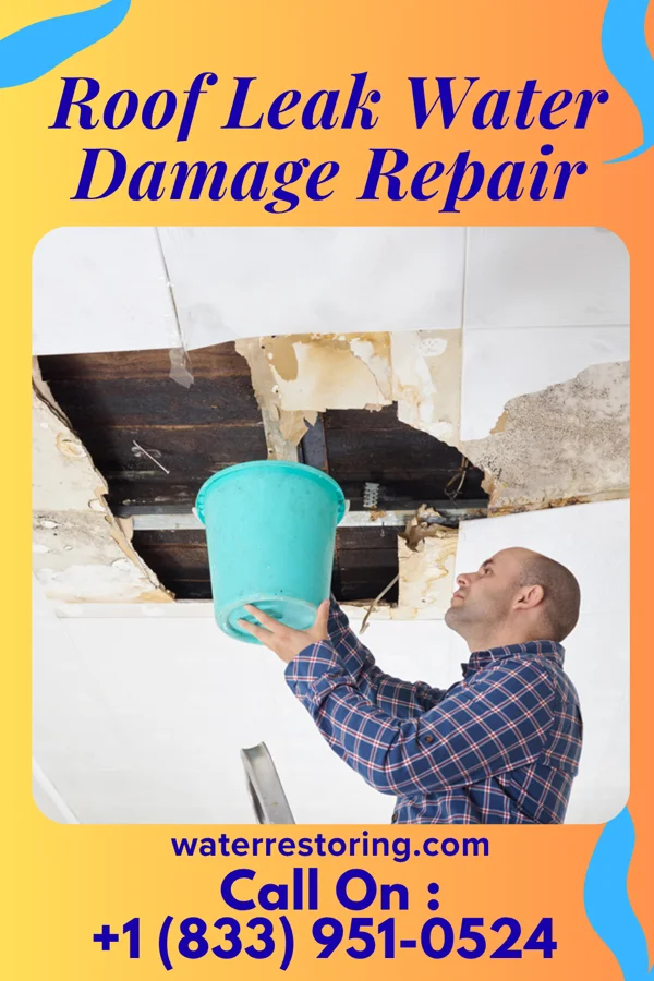 Roof Leak Water Damage Repair in Fish Hawk, FL